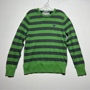 American Eagle AE Vintage Fit Sweater Men’s Size Large Green Cotton/Wool